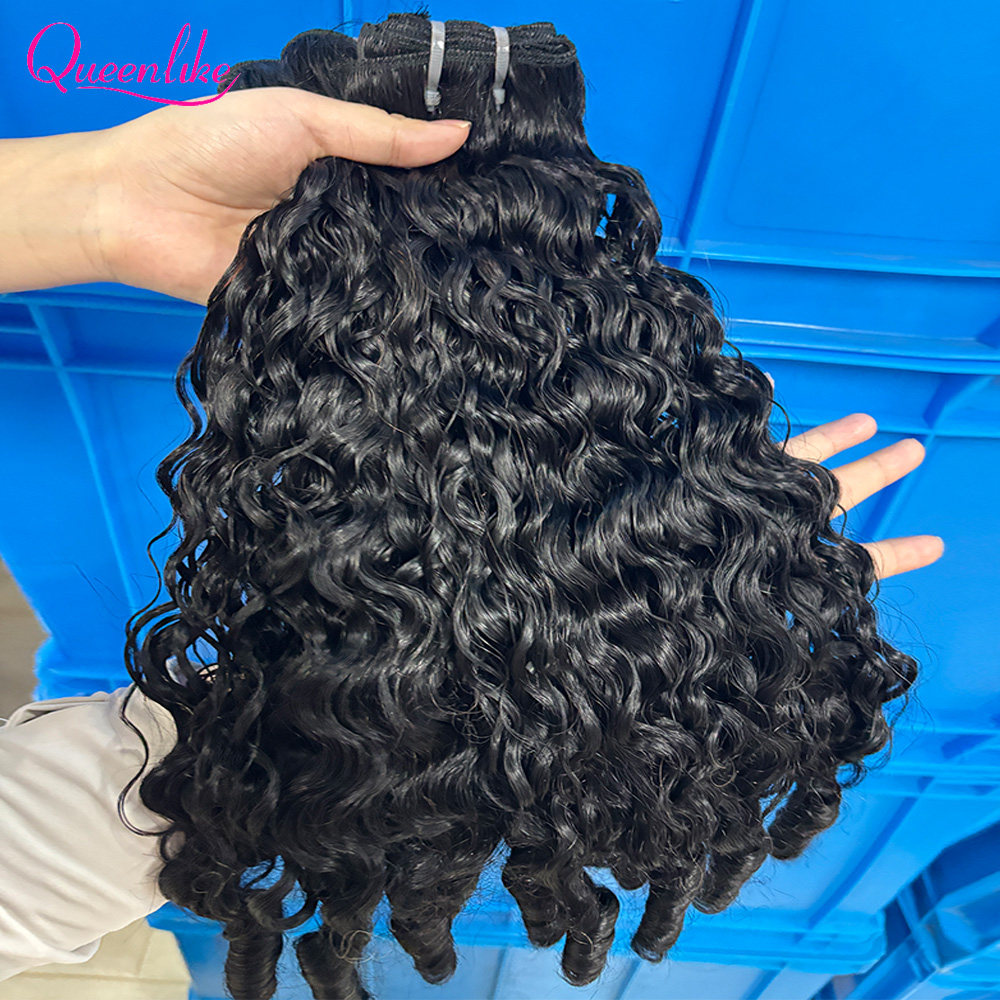 Queenlike Burmese Curly Raw Hu - đánh giá và giá Board Game Queen
