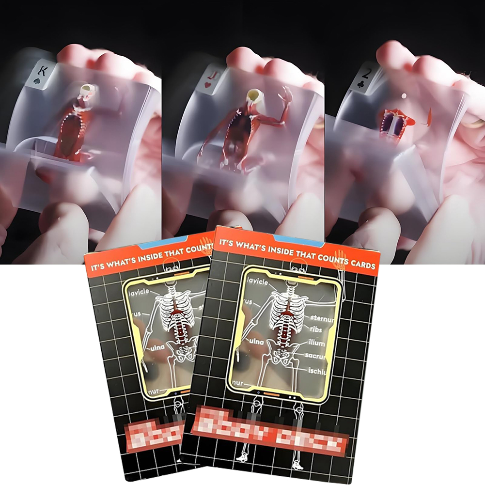 The Body Deck Mannequin Body D - đánh giá và giá Board Game Design
