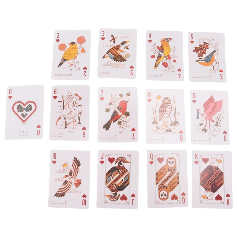 AT84-Bird On Every Card- Stunn - đánh giá và giá Board Game Design